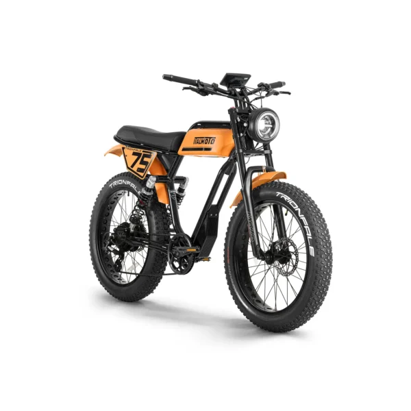 Trionfale E-Bike 2025