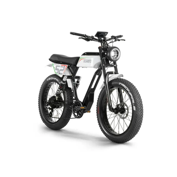 Trionfale E-Bike 2025