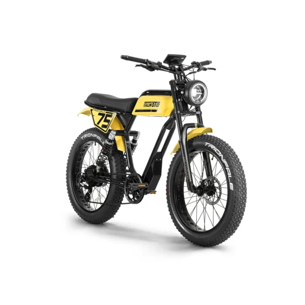 Trionfale E-Bike 2025
